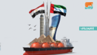 شراكة استراتيجية بين الإمارات ومصر لتحديث العمل الحكومي