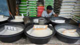 في اليوم العالمي للسكري.. إندونيسيون يتخلون عن "إدمان الأرز"