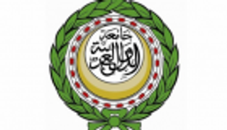 "دور الإعلام في مكافحة الإرهاب" باجتماعات الجامعة العربية بالإمارات 