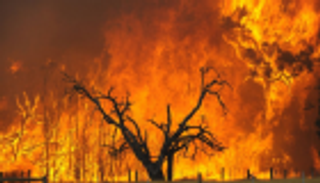 أستراليا تواصل مكافحة الحرائق.. واستعدادات لرياح قوية