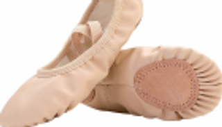 حذاء باليه يجذب اهتمام 100 ألف على "تويتر"