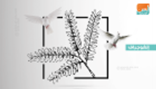 إنفوجراف.. 7 محاور بارزة لعام التسامح‎ في الإمارات