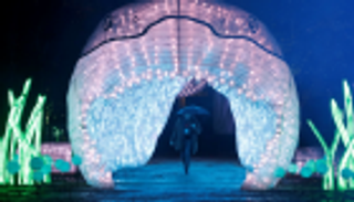 كائنات بحرية تتلألأ في باريس