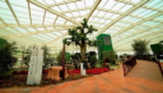 الحديقة القرآنية في دبي تجذب مليون زائر في 8 أشهر