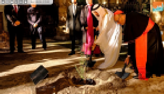 شجرة الغاف.. رمز تسامح الإمارات يزين كاتدرائية برشلونة