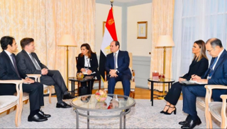 الرئيس المصري خلال لقائه نائب رئيس مرسيدس