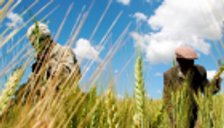 قمة ألمانية أفريقية في برلين.. هل تتفوق الفرص على المخاطر؟