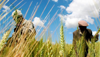 الفرص متاحة والتحديات أكثر داخل القارة السمراء