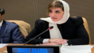 السعودية تؤكد بالأمم المتحدة أولوية قضية فلسطين