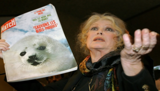 النجمة الفرنسية بريجيت باردو مع نسخة قديمة من مجلة "باري ماتش" 