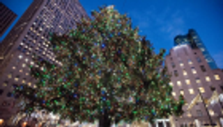 نيويورك تغلق شوارع شجرة عيد الميلاد لاستقبال مليون زائر يوميا