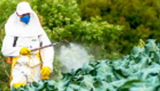 مبادرة لأوروبا خالية من المبيدات الحشرية بحلول 2035