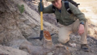 رأس ديناصور تهدم نظرية سائدة في علم الحفريات  