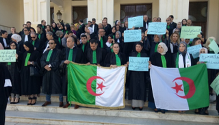 إضراب قضاة الجزائر - أرشيفية