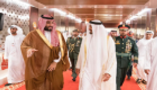 محمد بن زايد مرحبا بولي العهد السعودي: ضيف عزيز وكريم بين أهله