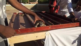 السباق أثار اهتماماً واسعاً على وسائل التواصل الاجتماعي