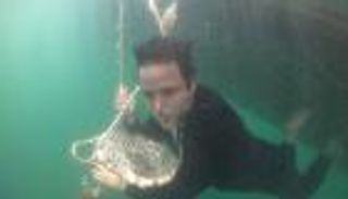 الإمارات تعيد لصيد اللؤلؤ بريقه