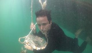 الإمارات تعيد لصيد اللؤلؤ بريقه 