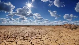 الجفاف في جنوب أفريقيا دفع المدارس لضم وجبتي الإفطار والغذاء - أرشيفية