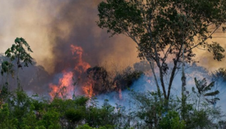 حرائق غابات الأمازون