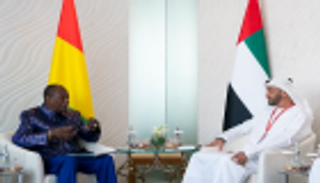 محمد بن زايد ورئيس غينيا يبحثان سبل تطوير التعاون