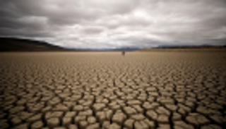 الجفاف يهدد حياة آلاف الحيوانات في أفريقيا