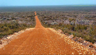 المرأة تقول إنها قلقة لدرجة الموت على صديقتيها