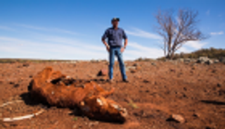 أستراليا تسجل أكثر موسم ربيع جفافا منذ 120 عاما