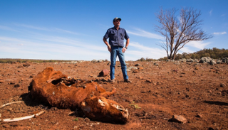الأمطار سقطت أقل من المتوسط هذا العام