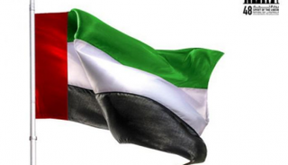 أنماط عديدة وناجحة للدبلوماسية الإماراتية