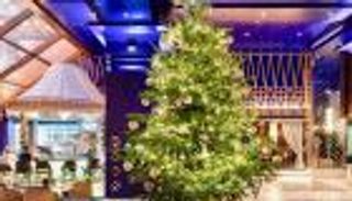 15 مليون دولار سعر أغلى شجرة كريسماس في العالم