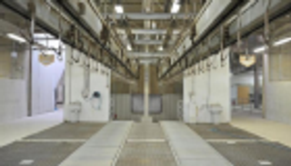 الأكبر عالميا.. توقيع عقد تصميمات مجازر الأضاحي في السعودية