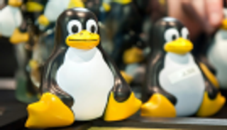 لينوكس المجاني يهدد عرش مايكروسوفت ويندوز