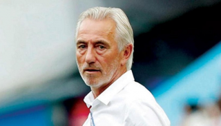 بيرت فان مارفيك 