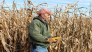 ارتفاع مؤشر ثقة القطاع الزراعي الأمريكي