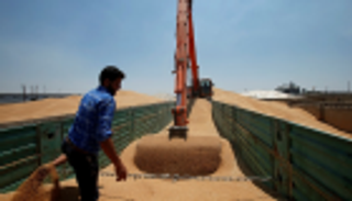 العراق يخطط لاستيراد 750 ألف طن من القمح خلال 2020