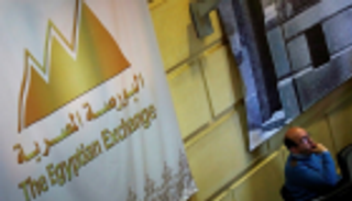 تغطية الطرح الخاص لأسهم راميدا للأدوية المصرية 1.17 مرة