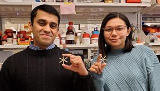 الحبوب على شكل النجمة