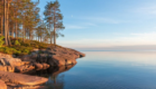 علماء يحذرون من مخاطر تهدد التنوع البيولوجي بأنهار أوروبا