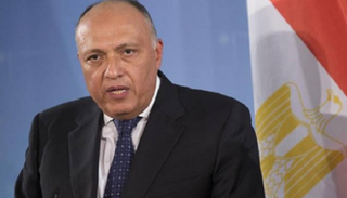 وزير الخارجية المصري 