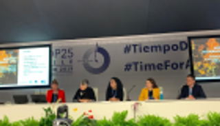 إشادة بتجربة مصر الناجحة في الطاقة المتجددة بـ"كوب 25"