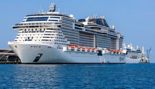 السفينة العملاقة 