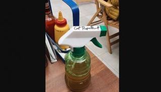 مطعم يكافح الحيوانات الضالة بـ"بخاخ القرفة"