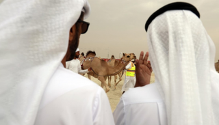 المهرجان يحمل شعار "المحافظة على إرث الأجداد"