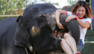 "سياحة الحيوانات".. تعذيب لالتقاط صورة تذكارية