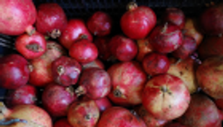 روسيا ترفض شحنات من الرمان التركي بسبب آفاته الضارة