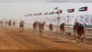 انطلاق النسخة الـ9 لمهرجان محمد بن زايد لسباقات الهجن 23 ديسمبر
