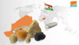 البنك الدولي يدعم ميزانية النيجر بـ350 مليون دولار