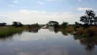 الأمطار تعود لظاهرة يطلق عليها "ثنائية القطب بالمحيط الهندي" - أرشيفية