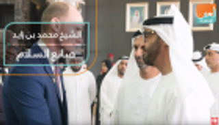 الشيخ محمد بن زايد.. صانع السلام